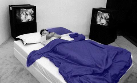 Paul Sermon: Telematic Dreaming