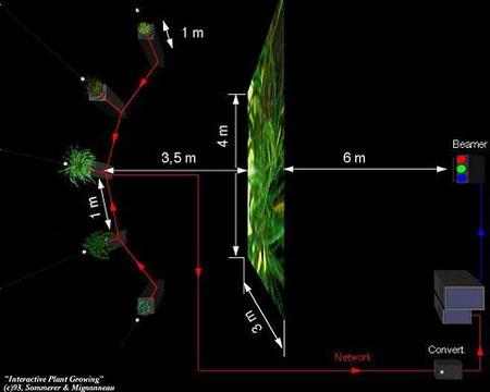 Sommerer/Mignonneau «The Interactive Plant Growing» | The Interactive Plant Growing (installation setup)