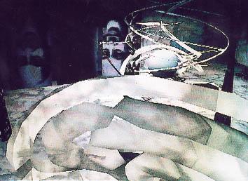 Fleischmann, Monika; Strauss, Wolfgang &laquo;Home of the Brain&raquo;